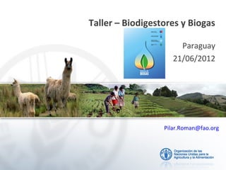Taller – Biodigestores y Biogas
Paraguay
21/06/2012
Pilar.Roman@fao.org
 