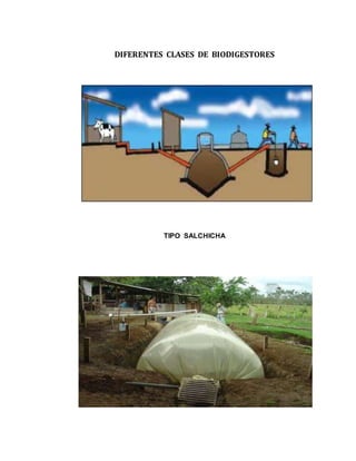 DIFERENTES CLASES DE BIODIGESTORES 
TIPO SALCHICHA 
 