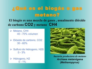 ¿Qué es el biogás o gas metano? El biogás es una mezcla de gases , usualmente dióxido de carbono  CO2  y metano  CH4 bacteria productora de metano Archaea metanógena (Methanopyrus)   