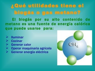 ¿Qué utilidades tiene el biogás o gas metano? El biogás por su alto contenido de metano es una fuente de energía calórica que puede usarse  para: Iluminar Cocinar Generar calor Operar maquinaria agrícola Generar energía eléctrica 