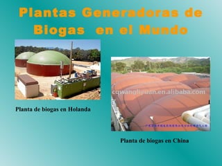 Plantas Generadoras de Biogas  en el Mundo Planta de biogas en Holanda Planta de biogas en China 