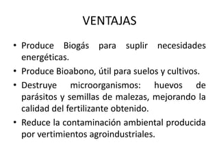VENTAJAS
• Produce Biogás para suplir necesidades
energéticas.
• Produce Bioabono, útil para suelos y cultivos.
• Destruye microorganismos: huevos de
parásitos y semillas de malezas, mejorando la
calidad del fertilizante obtenido.
• Reduce la contaminación ambiental producida
por vertimientos agroindustriales.
 