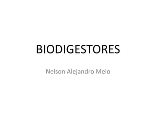 BIODIGESTORES
Nelson Alejandro Melo
 