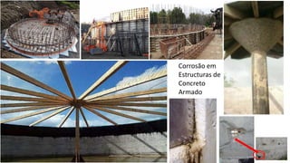 Biodigestores construídos com materiais alternativos - Márcio Andrade Slide 49