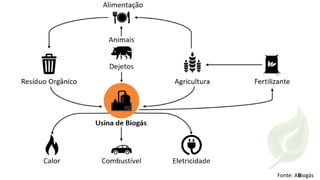 Biodigestores construídos com materiais alternativos - Márcio Andrade Slide 6