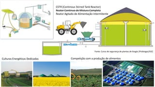 Biodigestores construídos com materiais alternativos - Márcio Andrade Slide 87