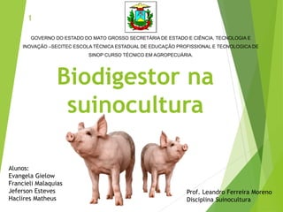 GOVERNO DO ESTADO DO MATO GROSSO SECRETÁRIA DE ESTADO E CIÊNCIA, TECNOLOGIA E
INOVAÇÃO –SECITEC ESCOLA TÉCNICA ESTADUAL DE EDUCAÇÃO PROFISSIONAL E TECNOLOGICA DE
SINOP CURSO TÉCNICO EM AGROPECUÁRIA.
Alunos:
Evangela Gielow
Francieli Malaquias
Jeferson Esteves
Haclires Matheus
Biodigestor na
suinocultura
1
Prof. Leandro Ferreira Moreno
Disciplina Suinocultura
 