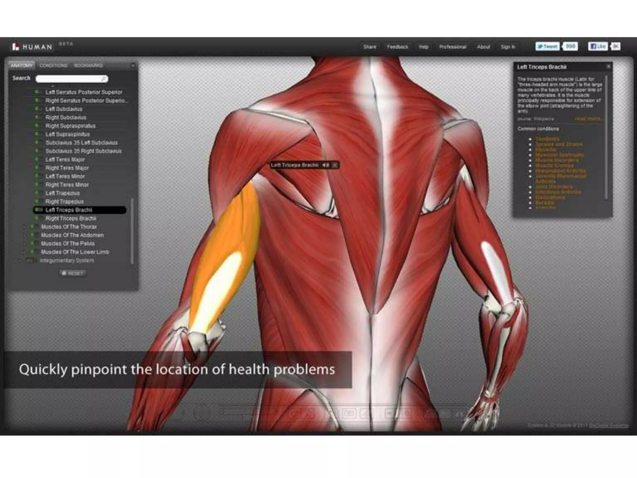 BioDigitalSystems Human Body | PPTX | Technology & Computing