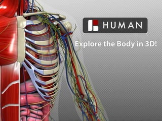BioDigitalSystems Human Body