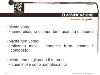 Biodinamica e orticoltura, Progetto Link