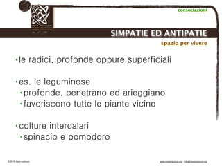 Biodinamica e orticoltura, Progetto Link
