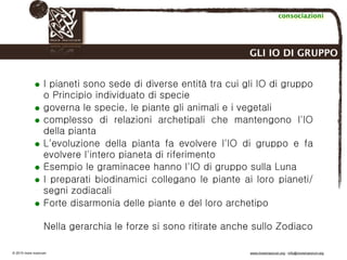 Biodinamica e orticoltura, Progetto Link