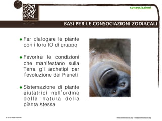 Biodinamica e orticoltura, Progetto Link
