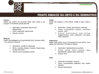 Biodinamica e orticoltura, Progetto Link