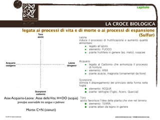 Biodinamica e orticoltura, Progetto Link