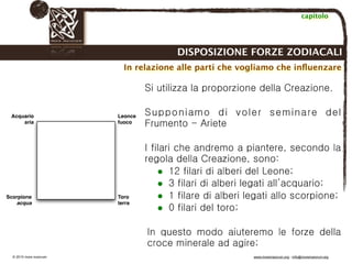 Biodinamica e orticoltura, Progetto Link