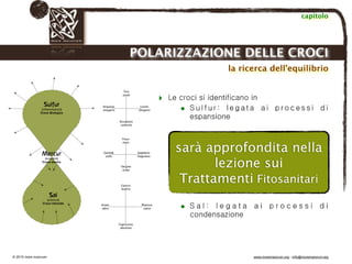 Biodinamica e orticoltura, Progetto Link
