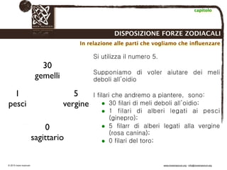Biodinamica e orticoltura, Progetto Link