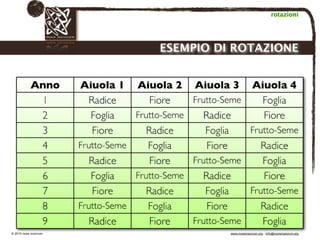 Biodinamica e orticoltura, Progetto Link