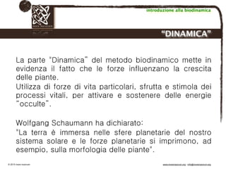 Biodinamica e orticoltura, Progetto Link