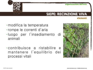 Biodinamica e orticoltura, Progetto Link