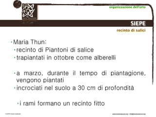 Biodinamica e orticoltura, Progetto Link