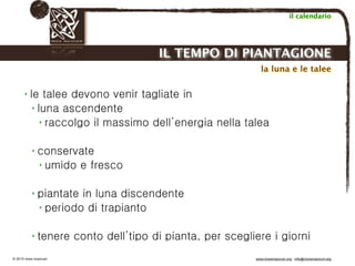 Biodinamica e orticoltura, Progetto Link