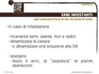 Biodinamica e orticoltura, Progetto Link