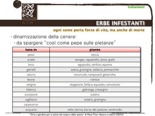 Biodinamica e orticoltura, Progetto Link
