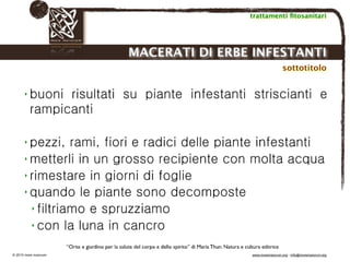 Biodinamica e orticoltura, Progetto Link