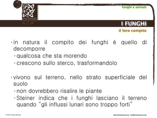 Biodinamica e orticoltura, Progetto Link