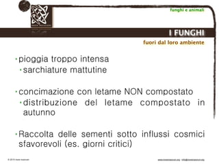 Biodinamica e orticoltura, Progetto Link