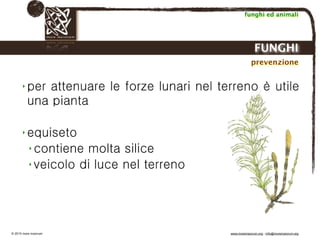 Biodinamica e orticoltura, Progetto Link