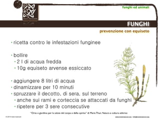 Biodinamica e orticoltura, Progetto Link