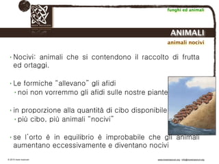 Biodinamica e orticoltura, Progetto Link