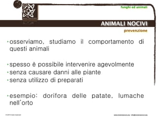 Biodinamica e orticoltura, Progetto Link