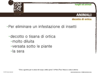 Biodinamica e orticoltura, Progetto Link