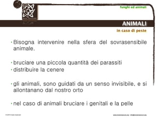 Biodinamica e orticoltura, Progetto Link