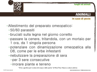 Biodinamica e orticoltura, Progetto Link