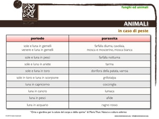 Biodinamica e orticoltura, Progetto Link