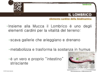 Biodinamica e orticoltura, Progetto Link