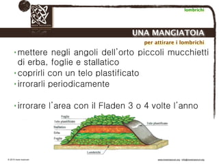 Biodinamica e orticoltura, Progetto Link