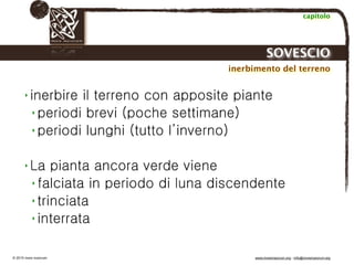 Biodinamica e orticoltura, Progetto Link