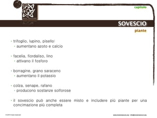 Biodinamica e orticoltura, Progetto Link