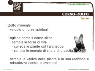 Biodinamica e orticoltura, Progetto Link