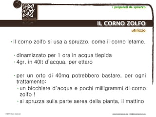Biodinamica e orticoltura, Progetto Link