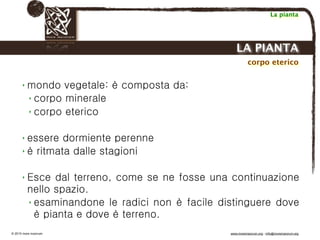 Biodinamica e orticoltura, Progetto Link