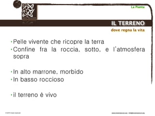 Biodinamica e orticoltura, Progetto Link