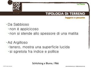 Biodinamica e orticoltura, Progetto Link