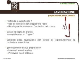 Biodinamica e orticoltura, Progetto Link